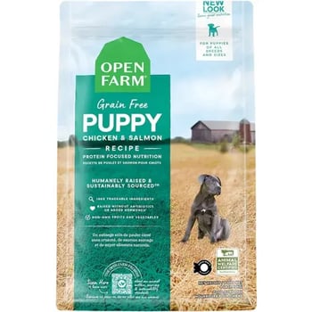 Is grain free dog food best clearance